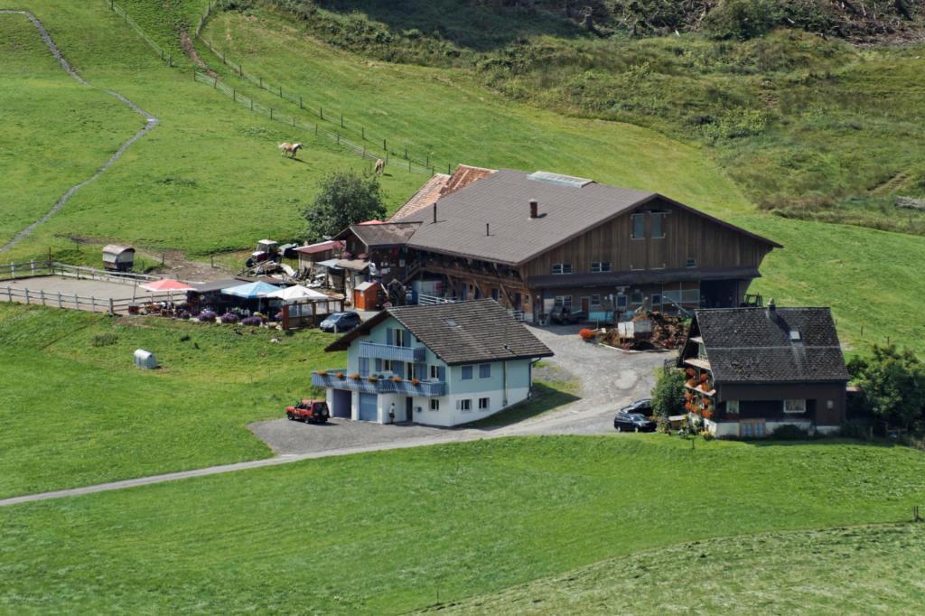 Haflingerhof Fruhboden Villa Egg Exterior foto